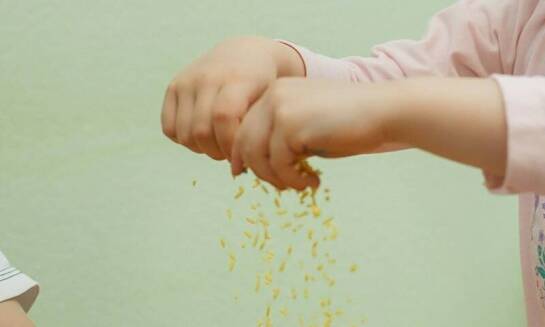 Jakie wartości ekologiczne są przekazywane dzieciom w przedszkolu Mokotów?