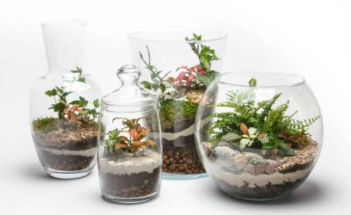 Produkty dla terrarystów: oświetlenie, ogrzewanie i dekoracje terrarium