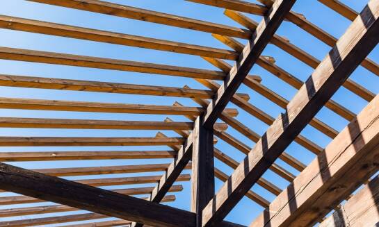 Jak zabezpieczyć drewniane elementy konstrukcyjne przed szkodnikami i pleśnią?