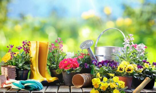 Jak dbać o swój ogród? Praktyczne narzędzia i akcesoria ogrodnicze