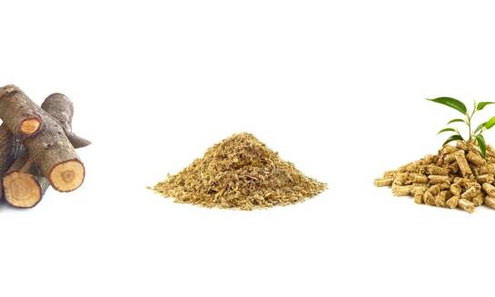 Suplementy diety dla zwierząt hodowlanych - jakie wybrać?