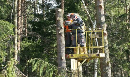 Wybór odpowiedniej odzieży roboczej dla pracowników sektora leśnictwa
