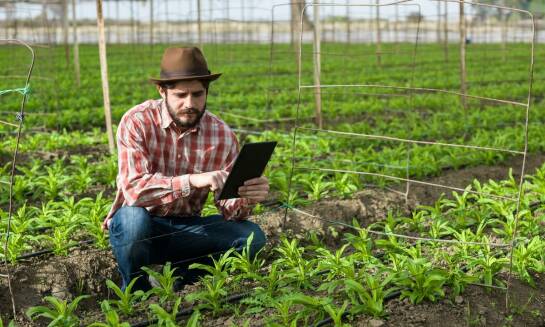 Odkryj zalety zakupów w internetowym sklepie rolniczym