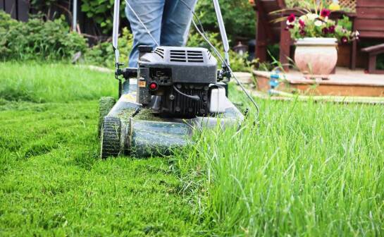 Jak pielęgnować teren zielony, aby zachować jego estetykę?