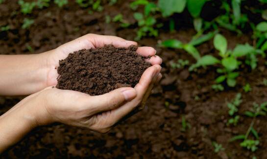 Jak działają adiuwanty doglebowe?