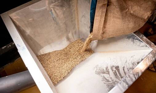 Jakie znaczenie ma ciężar zboża w procesie kontroli jakości?