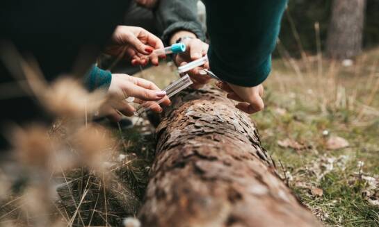 Kierunki opieki środowiskowej: przyszłość dla ekologicznie świadomych