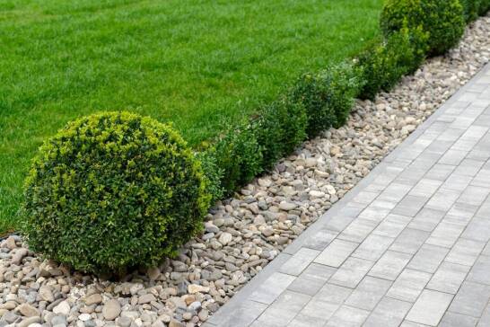 Krzewy ozdobne jako element dekoracyjny w ogrodzie – inspiracje i pomysły