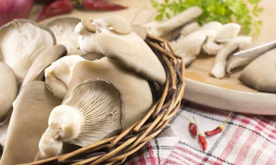 Jakie grzyby suszone warto mieć w swojej kuchni i jak je wykorzystać?