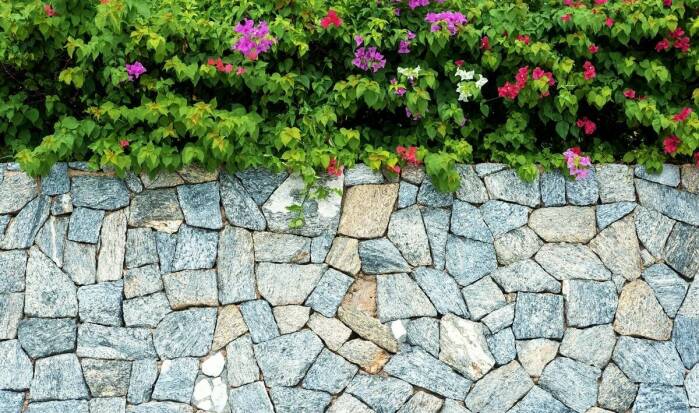 Czy ogrodzenie gabionowe pasuje do nowoczesnego domu?