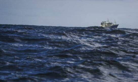 Porównanie różnych rodzajów sieci rybackich - które są najbardziej efektywne?