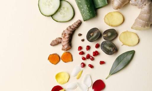 Wrotycz jako składnik naturalnych repelentów – co warto wiedzieć?