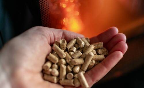Dlaczego warto inwestować w ekologiczne paliwa, takie jak pellet drzewny?