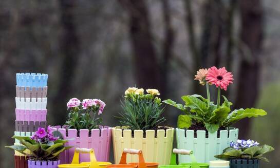 Belki drewniane jako element dekoracyjny w aranżacji ogrodu