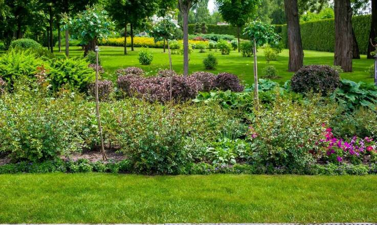Jak dbać o ogród, aby cieszyć się jego pięknem przez cały rok?
