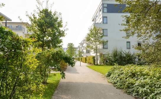 Eko kratki a ich rola w tworzeniu przyjaznych dla środowiska terenów zieleni