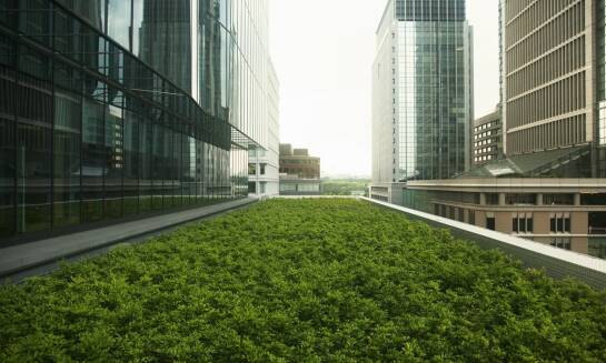 Korzyści z posiadania ogrodu na dachu: wpływ na jakość życia mieszkańców Warszawy
