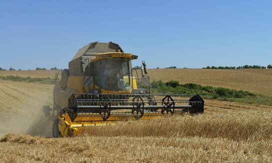 Trendy w uprawach zbóż – co powinien wiedzieć każdy rolnik?