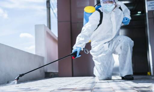 Zintegrowane Metody Ochrony przed Szkodnikami (IPM) w praktyce deratyzacji HACCP