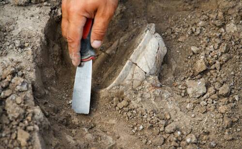 W jaki sposób współpraca z lokalnymi władzami może wspierać badania archeologiczne w Trzebnicy?