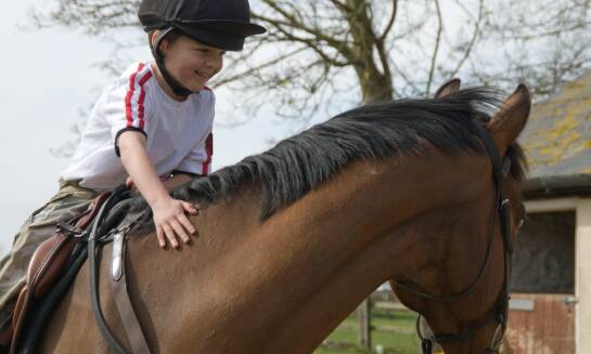 Jakie sprzęty i akcesoria są niezbędne dla początkującego jeźdźca?