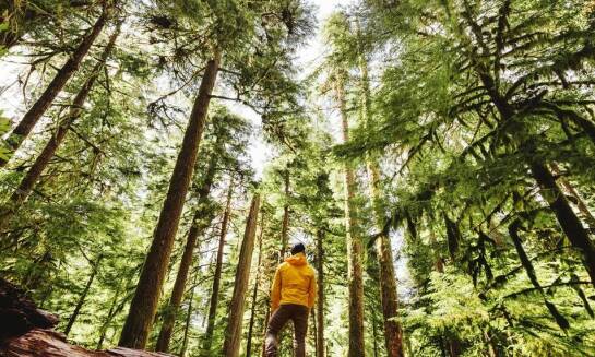 Czarny t-shirt "Górski rytm serca" – doskonały pomysł na prezent dla pasjonatów natury!