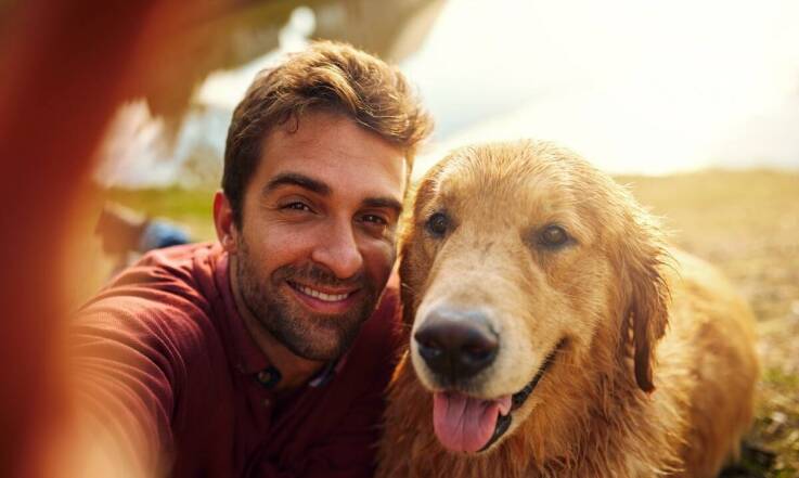 Jakie działania podejmuje schronisko dla bezdomnych zwierząt w Toruniu, aby zapewnić zwierzętom lepsze życie?