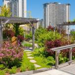 Grysy ogrodowe jako ekologiczne rozwiązanie w projektach krajobrazowych