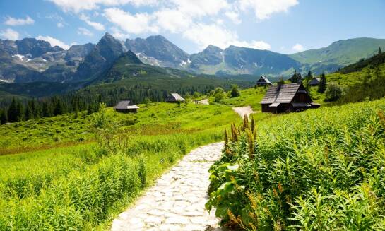 Jakie atrakcje przyrodnicze można znaleźć na trasie Szlaku Piastowskiego?