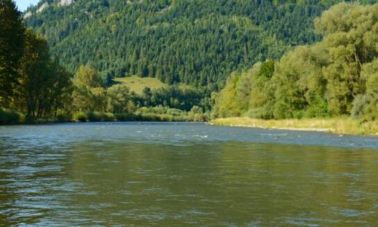 Dlaczego warto skorzystać z profesjonalnych usług transportowych na spływ Dunajcem?