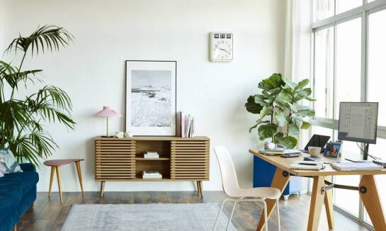 Japońskie drzewko szczęścia jako element zrównoważonego rozwoju w biurze