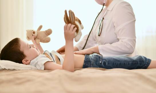 Kluczowe umiejętności nabyte podczas Kursu EPALS: co powinieneś wiedzieć?