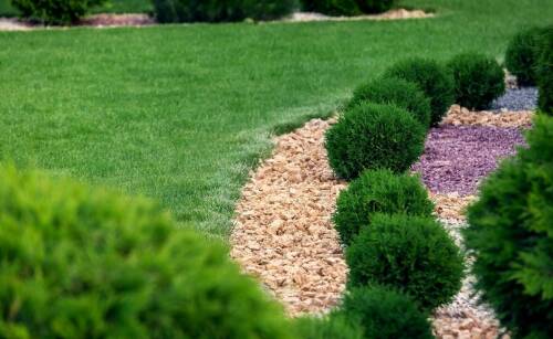 Jakie rośliny najlepiej sprawdzą się w prostych ogrodach przydomowych?