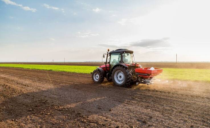 Jakie błędy unikać przy siewie nasion traw w ogrodzie?