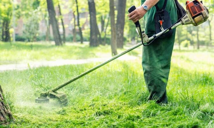 Dlaczego warto inwestować w profesjonalne kosy i podkaszarki do pielęgnacji terenów zielonych?