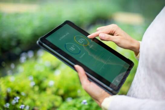 Dlaczego warto zainwestować w automatyzację podczas przygotowania tunelu foliowego?