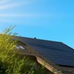 Jak zielone fasady wpływają na efektywność energetyczną budynków?