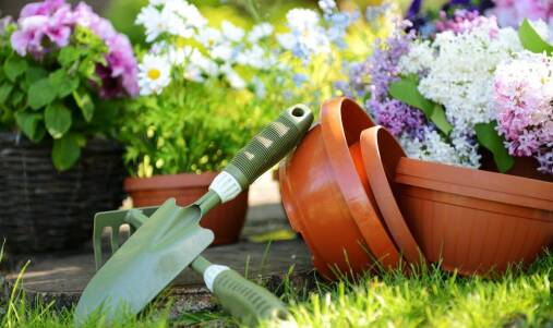 Narzędzia ogrodnicze – co warto mieć w swojej kolekcji?