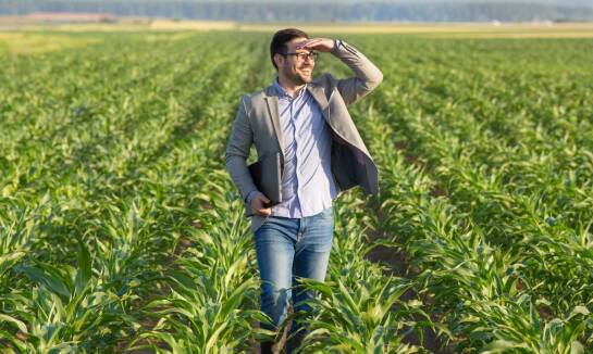 Ubezpieczenia rolne a ochrona przed szkodami wyrządzonymi przez zwierzęta