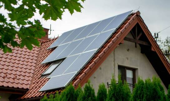 Budowa sieci elektroenergetycznych a ochrona środowiska – jak minimalizować ingerencję w otoczenie?