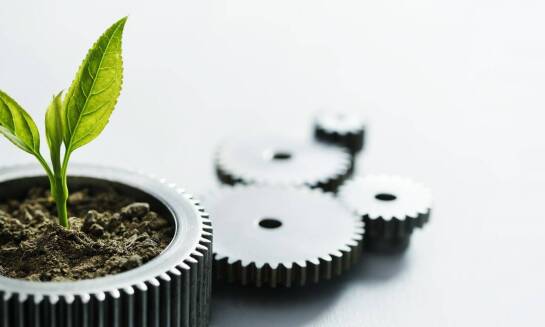 Czym jest norma ISO 14025 i do czego służy?