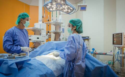 Dlaczego warto korzystać z usług chirurga zwierzęcego w przypadku poważnych schorzeń?