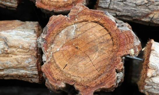Drewno kominkowe Wisła: co musisz wiedzieć o jego kaloryczności i zawartości popiołu?