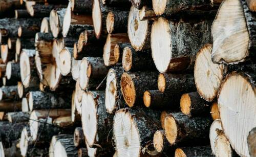Jak przygotować drewno opałowe do sezonu grzewczego?