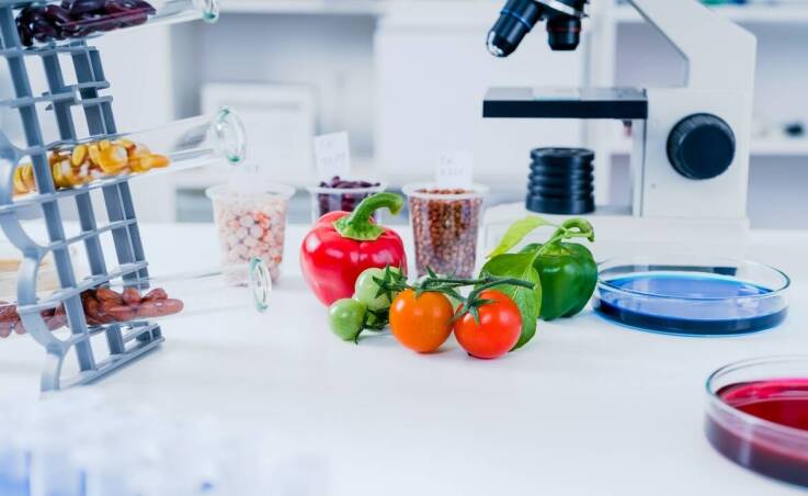 Jakie są zalety posiadania Księgi HACCP opracowanej przez specjalistów w dziedzinie doradztwa sanitarnego?
