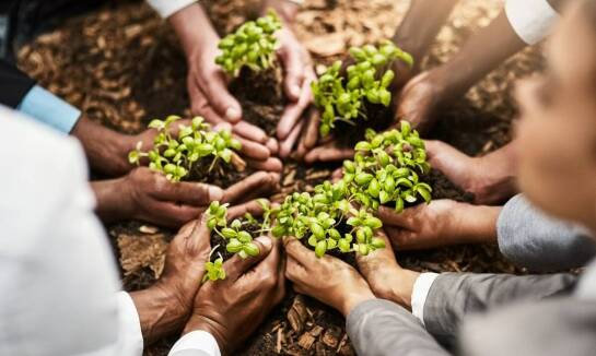 Wycieczki integracyjne dla dzieci w Koszalinie: budowanie relacji przez zabawę
