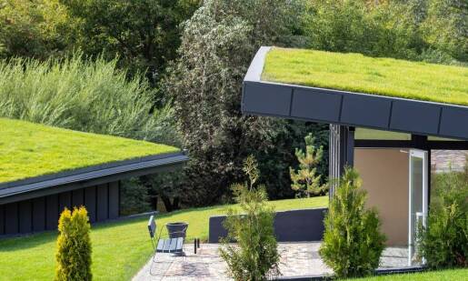 Jakie są trendy w budowie pawilonów przemysłowych?