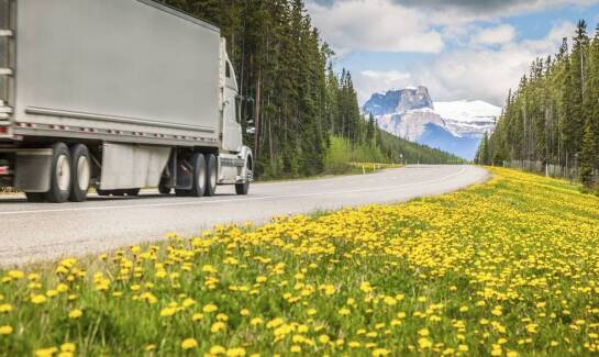 Dlaczego warto korzystać z serwisu mobilnego TIR przy problemach z układem chłodzenia?