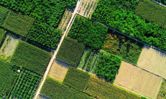 Geodeta Bielsko-Biała: Jakie pomiary są niezbędne przy podziale działek?