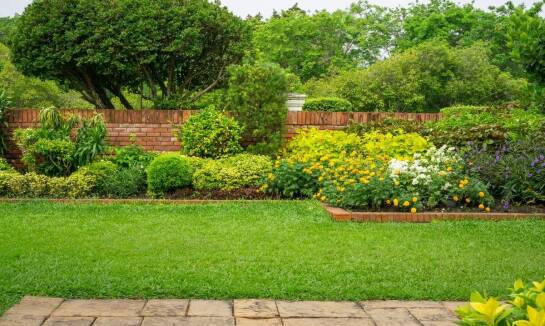 Jak dopasować rośliny do stylu życia i potrzeb mieszkańców przy projektowaniu ogrodu?